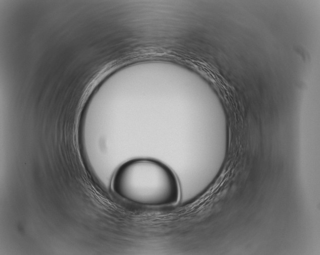 X0000111860195200907231137