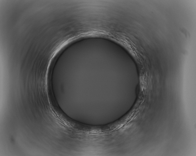 X0000111860196200907231137