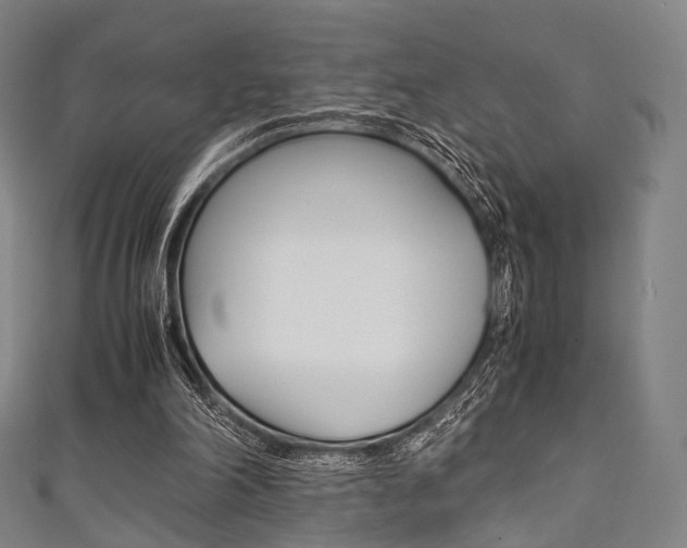 X0000111860198200907231137