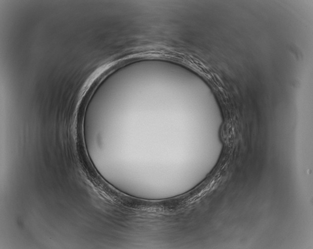 X0000111860200200907231137