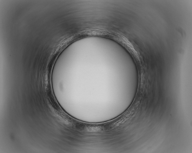 X0000111860202200907231137