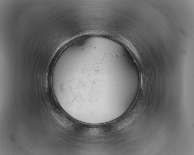 X0000111860204200907231137