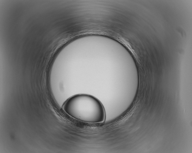 X0000111860205200907231137