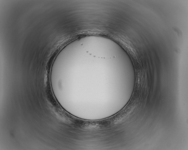 X0000111860206200907231137