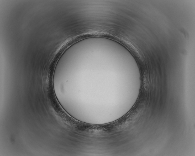 X0000111860208200907231137