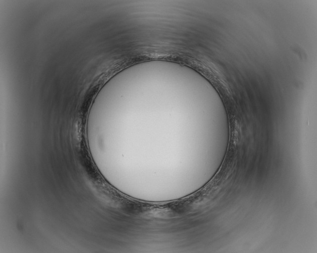 X0000111860210200907231137