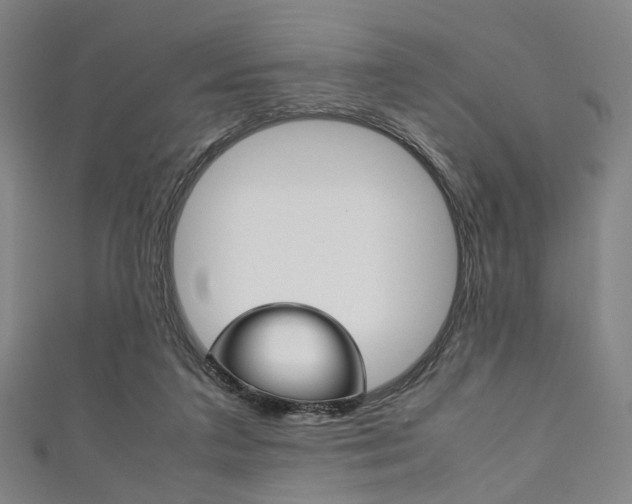 X0000111860211200907231137