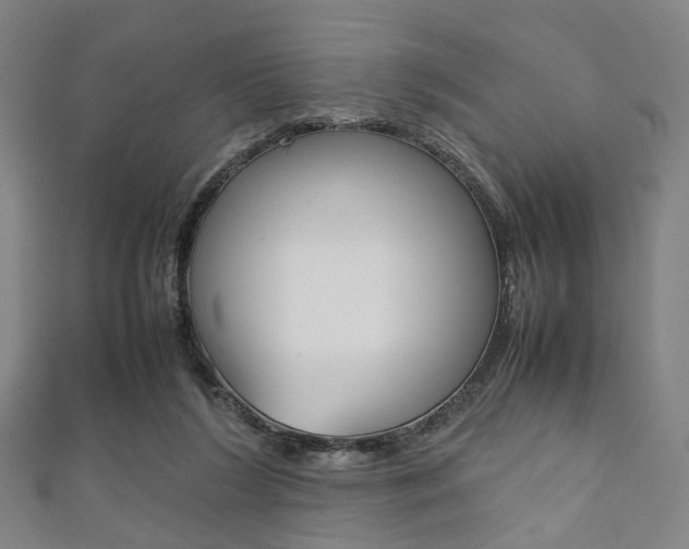 X0000111860212200907231137