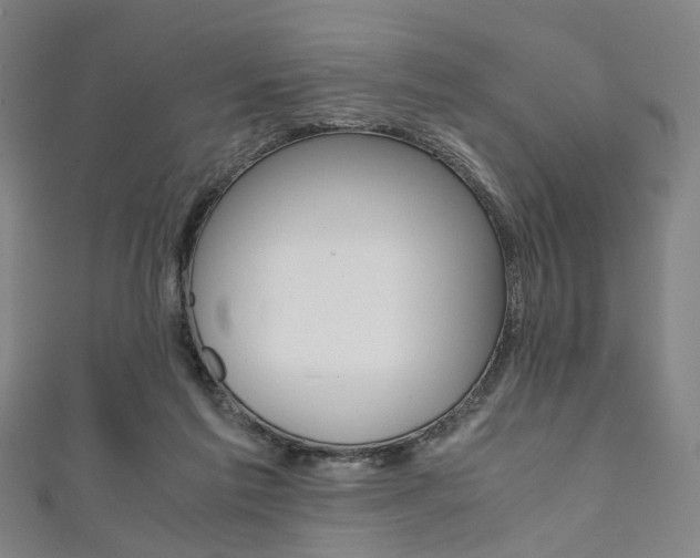 X0000111860213200907231137