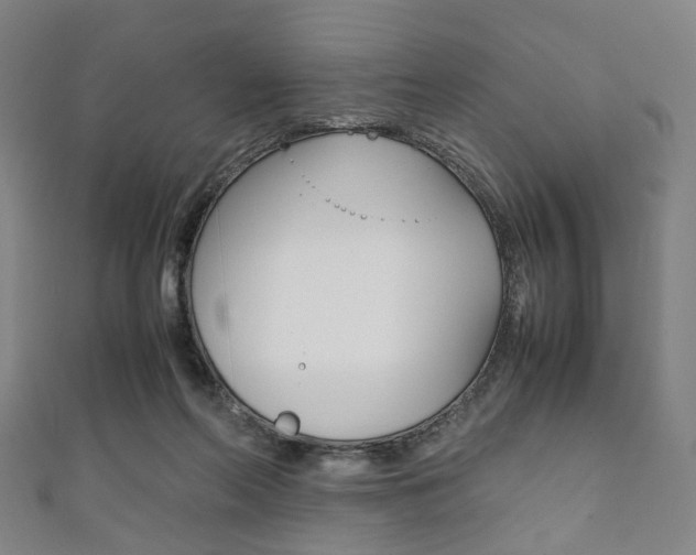 X0000111860214200907231137