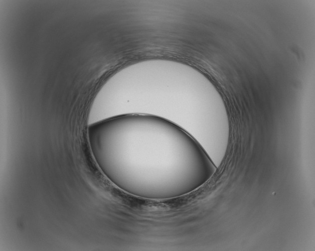 X0000111860215200907231137