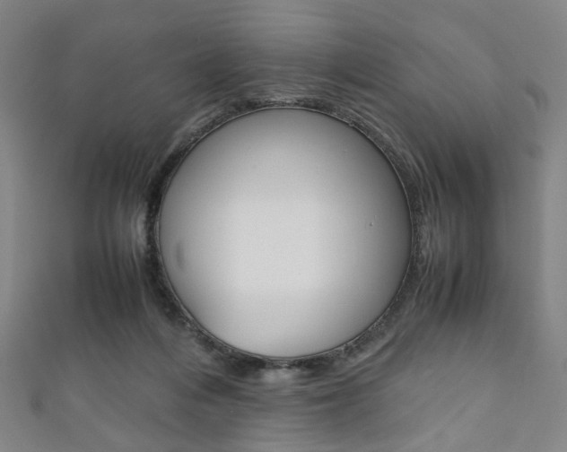 X0000111860216200907231137
