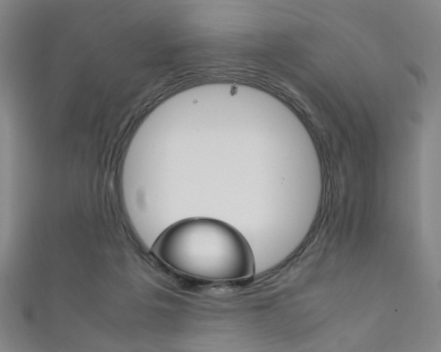 X0000111860217200907231137