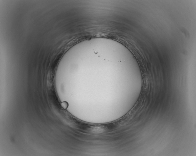 X0000111860218200907231137