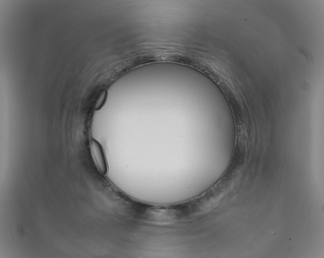 X0000111860221200907231137