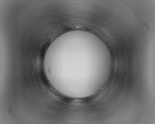 X0000111860222200907231137