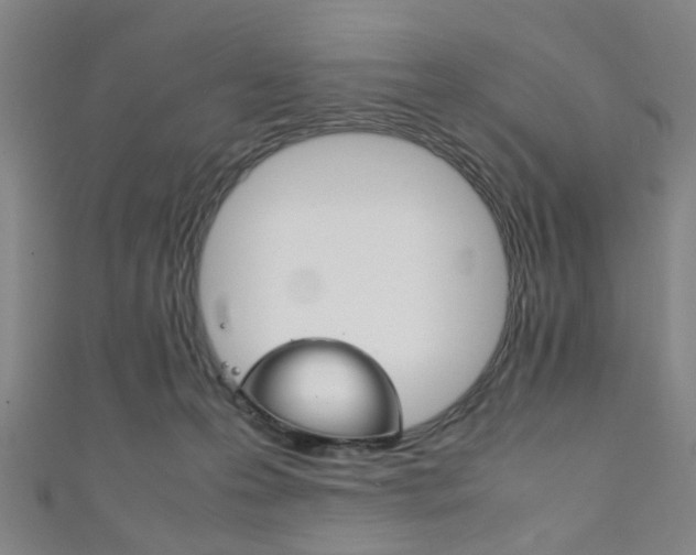X0000111860223200907231137
