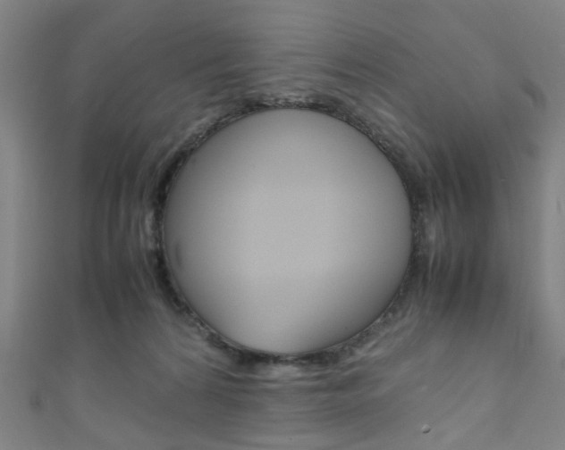 X0000111860224200907231137