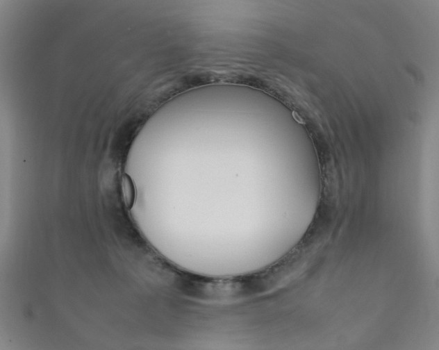 X0000111860225200907231137