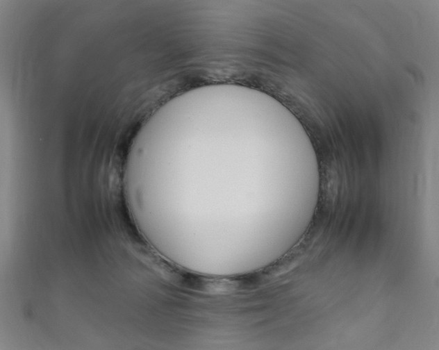 X0000111860226200907231137