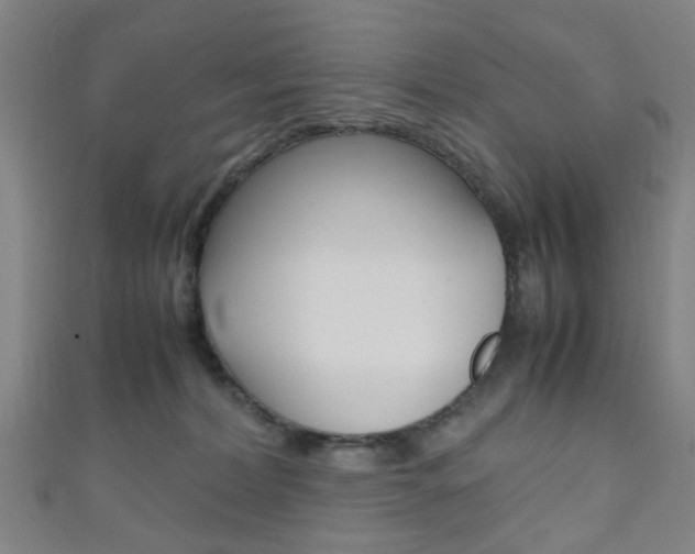 X0000111860228200907231137