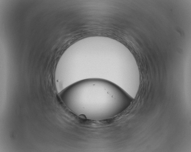 X0000111860229200907231137