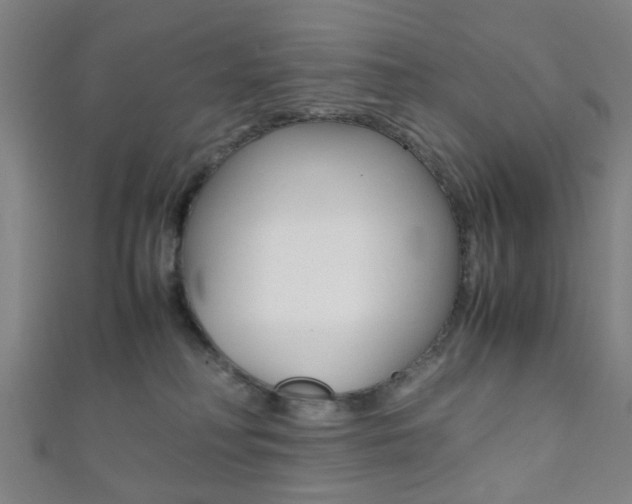 X0000111860230200907231137