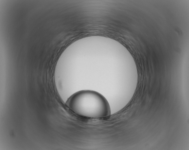 X0000111860231200907231137