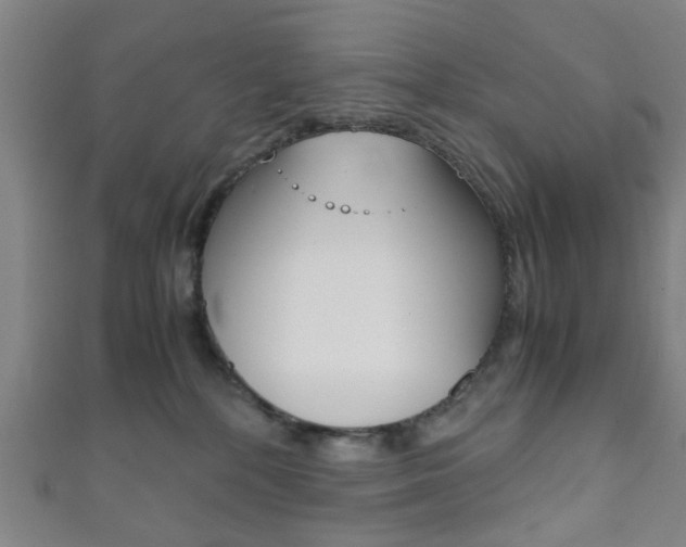 X0000111860232200907231137