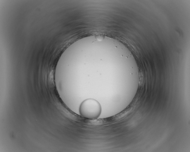 X0000111860238200907231137
