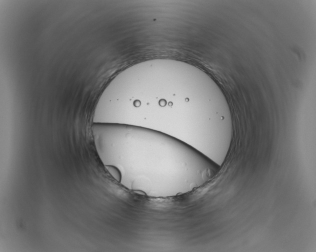 X0000111860240200907231137