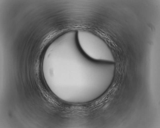 X0000111860242200907231136
