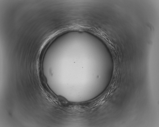 X0000111860244200907231136
