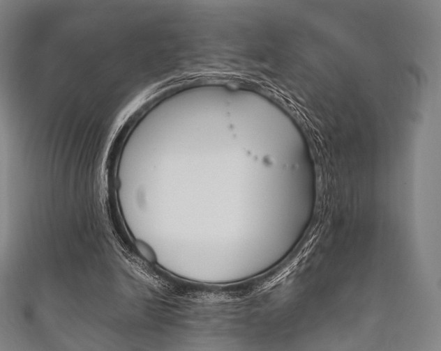 X0000111860246200907231136
