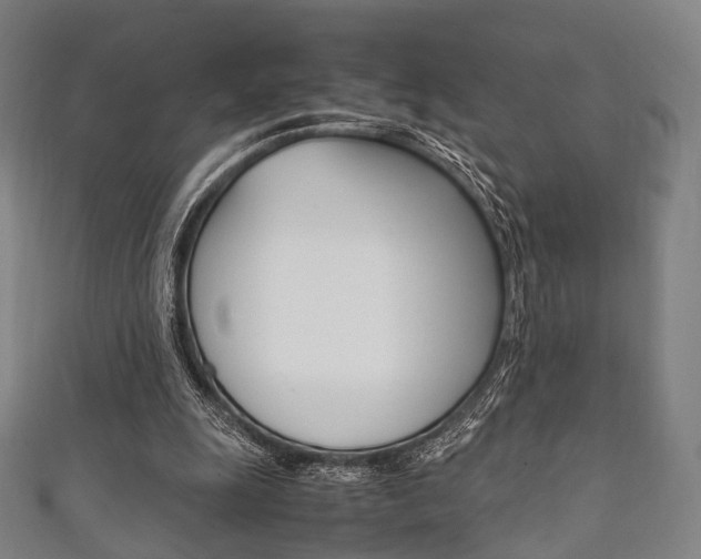 X0000111860247200907231136
