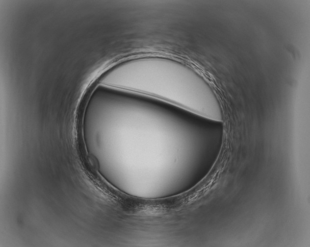 X0000111860248200907231136