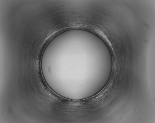 X0000111860249200907231136