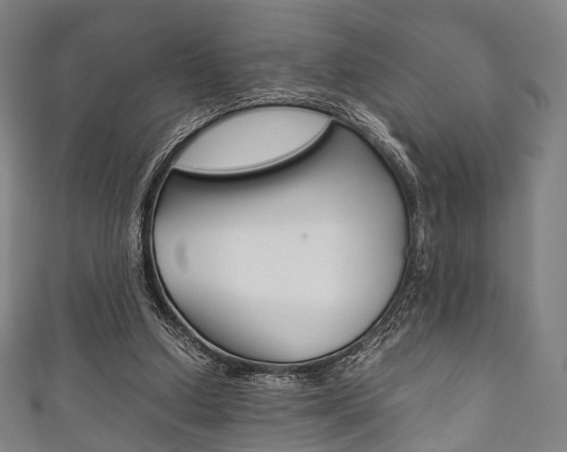 X0000111860250200907231136