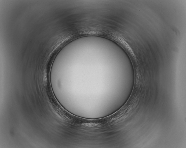 X0000111860251200907231136