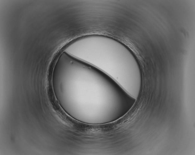 X0000111860252200907231136
