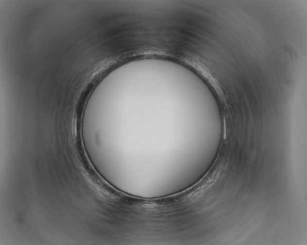 X0000111860253200907231136