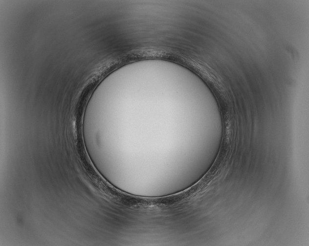X0000111860254200907231136