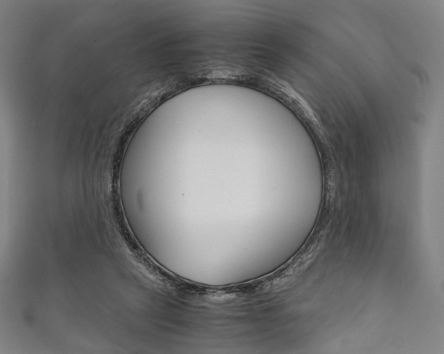 X0000111860257200907231136