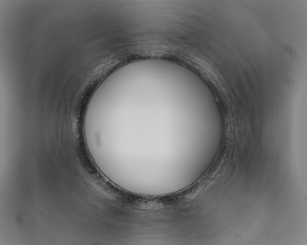 X0000111860258200907231136