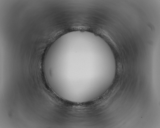 X0000111860259200907231136