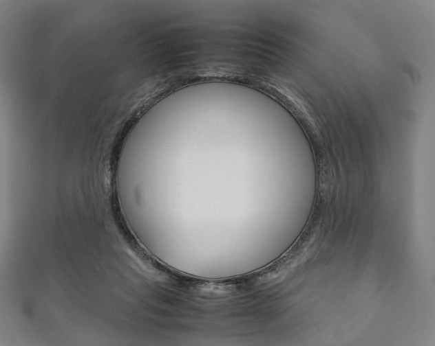 X0000111860261200907231136