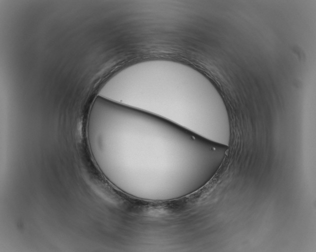 X0000111860262200907231136