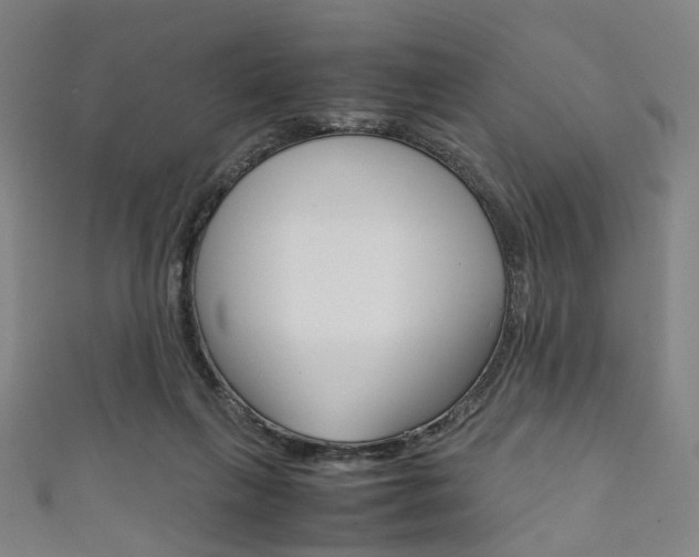 X0000111860263200907231136