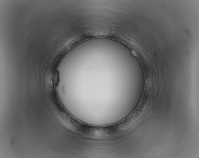 X0000111860264200907231136