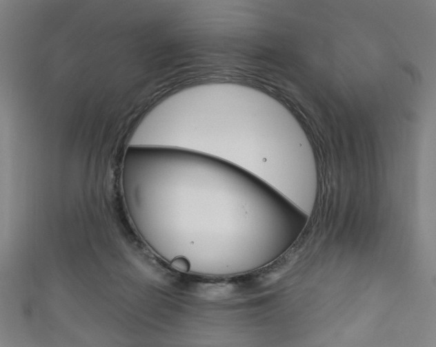 X0000111860266200907231136